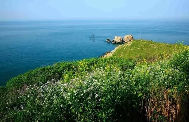 浙江外贸凭什么