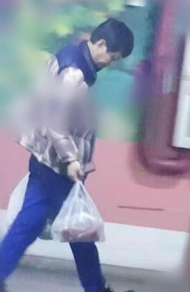 奥日与黑暗森林