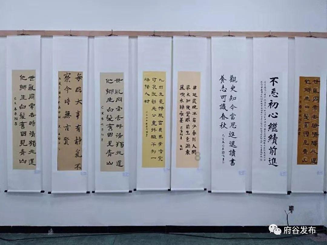 不吃主食，女子花两万减肥“饿”出胃病